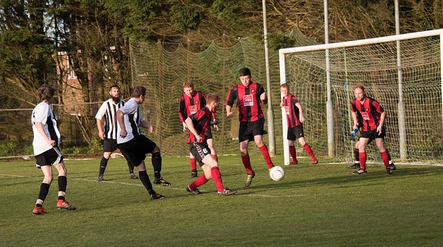 主力球员在 主力球员在