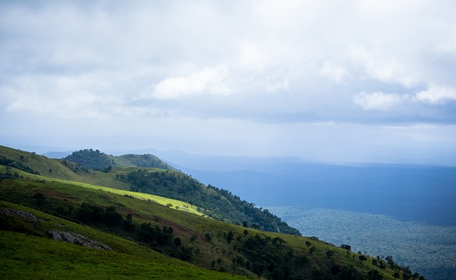 因素之一 因素之一