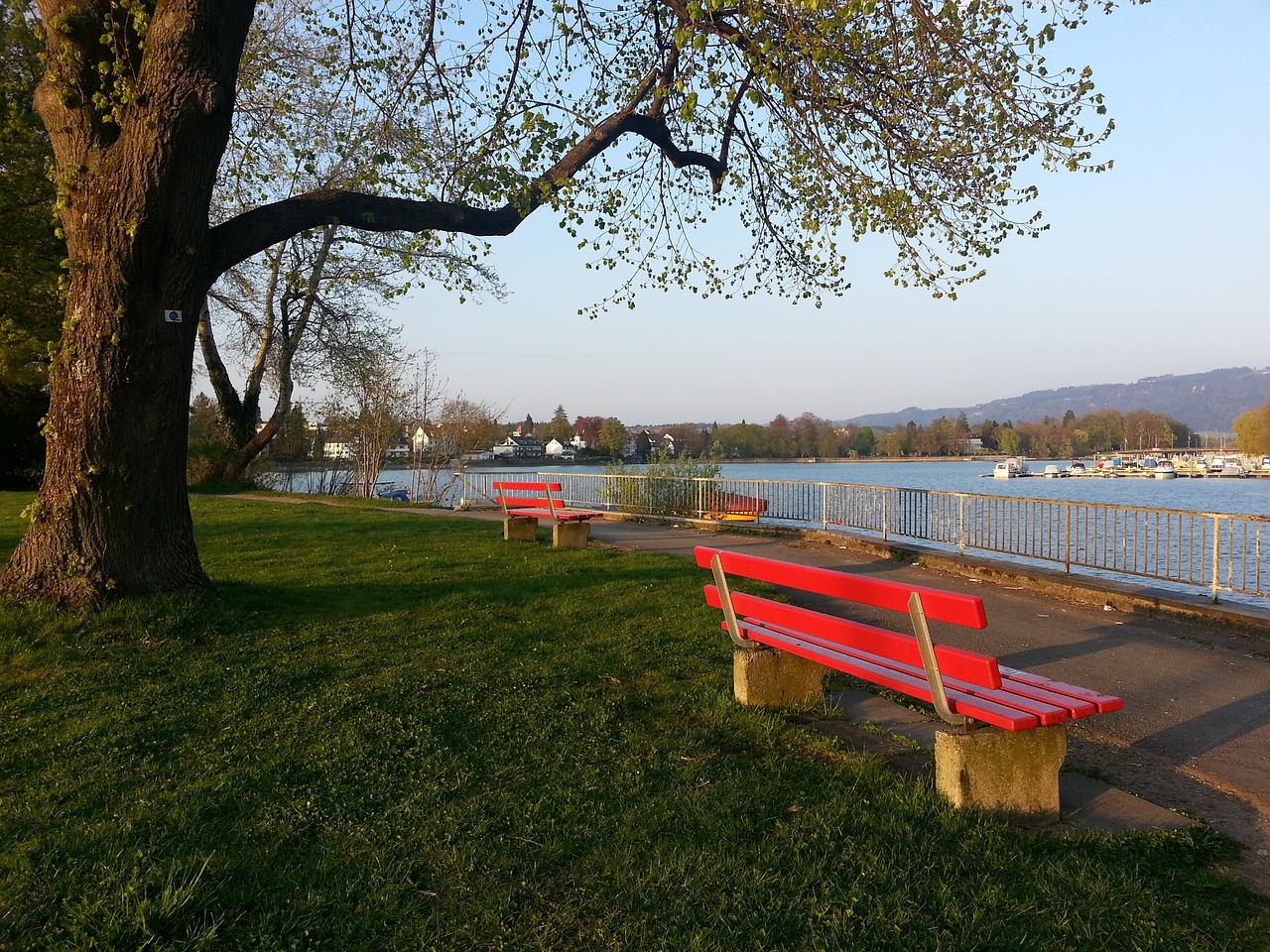 线射手的精 线射手的精