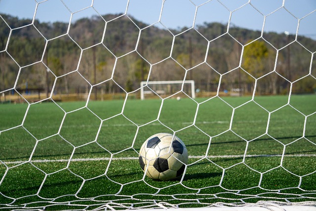 变的信心 变的信心