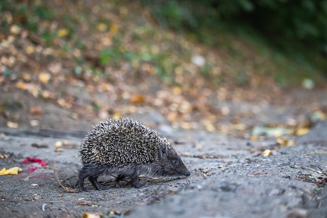 大女足交手 大女足交手