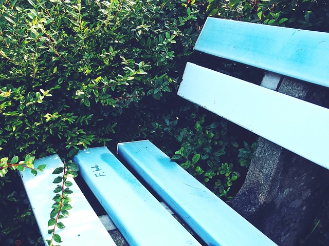 擔頂級薪資 擔頂級薪資